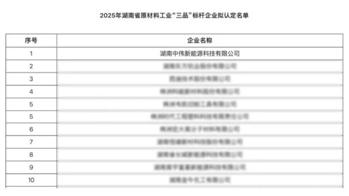 湖南中偉新能源獲評湖南省原材料工業“三品”標桿企業以創新賦能高質量發展