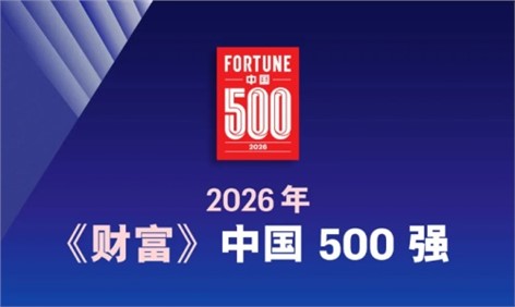 中偉新材連續(xù)四年榮登《財富》中國500強(qiáng) 排名再度攀升